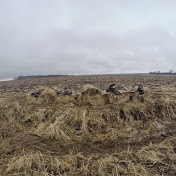 Profile Picture of Wade Robertson (@waderobertson4488) on Youtube