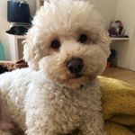 Profile Picture of Leo Fontaine (@mrleofontainemarks) on Instagram