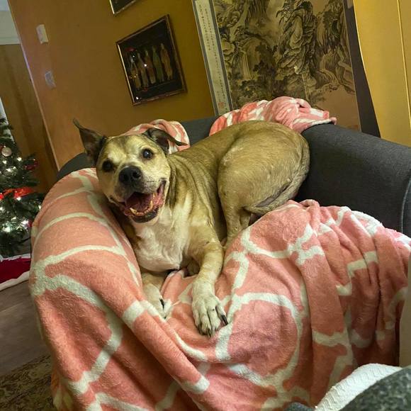 Profile Picture of Jeffrey Leggee (@jleggee68) on Poshmark