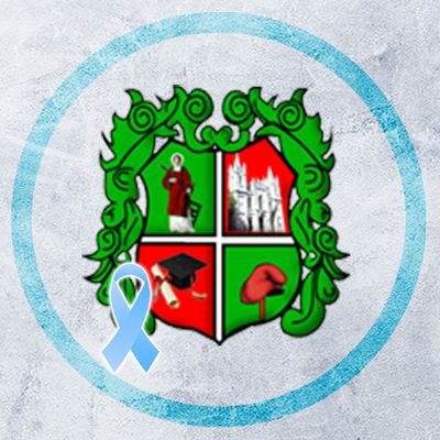 Profile Picture of Municipalidad De San Lorenzo Del Campo Grande (@MunicSanlorenzo) on Twitter
