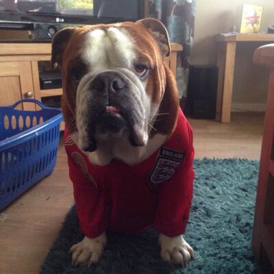 Profile Picture of Ian Hindle (@Montys_rolls) on Twitter