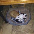 Profile Picture of Judy McManaway (@judy.mcmanaway.1) on Facebook