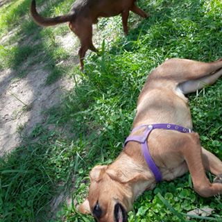 Profile Picture of Richard Ledesma (@richard.ledesma.182) on Facebook