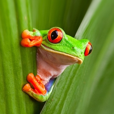 Profile Picture of Andrew Bremer (@andrew_bremer) on Tiktok