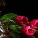 Profile Picture of Marilyn Schram (@Marilyn-Schram) on Facebook