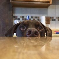 Profile Picture of Donna Campbell (@donna-campbell-84) on Quora