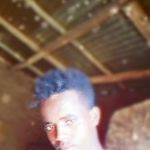 Profile Picture of Ashenafi Tesfay (@tesfay_ashenafi) on Instagram