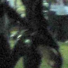 Profile Picture of Claude Schick (@itsclaudebitch) on Myspace