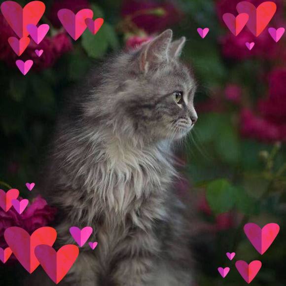 Profile Picture of Ginny Wagner (@ginny8w3) on Poshmark