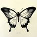 Profile Picture of Merren (@merren1987) on Pinterest