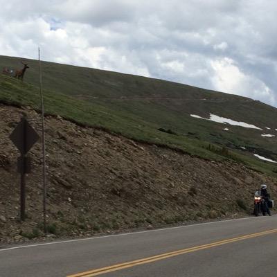 Chris Bucklin - Twitter Profile Picture of Chris Bucklin (@Chris_Bucklin) on Twitter