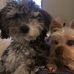 Profile Picture of Suzanne Andrew (@suzanne.andrew.906) on Facebook