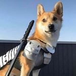 Profile Picture of Joel Romeo (@orthocoronavirinae) on Instagram