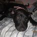 Profile Picture of Michael C. Boteler (@michael.c.boteler) on Facebook