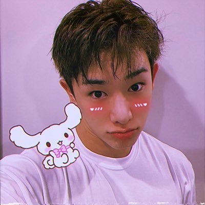 Profile Picture of 𝒟𝑜𝓁𝓁𝓎🎀♡ ᙏ̤̫ (Hiatus) (@lara_96__) on Twitter