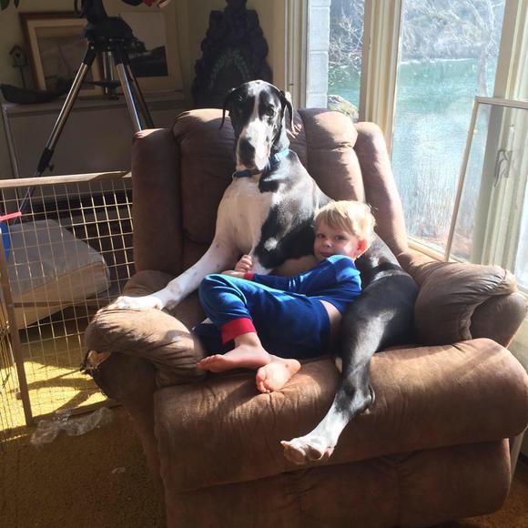 Profile Picture of Deedy Wold (@deedy120) on Poshmark