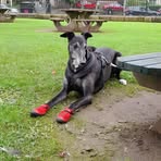 Profile Picture of Ernie Tew (@Ernie-Tew) on Facebook