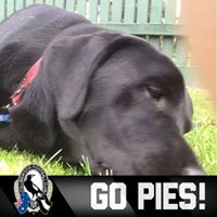 Profile Picture of Mathew Maxwell Nicholls (@mathew-maxwell-nicholls) on Quora