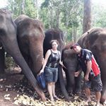 Profile Picture of David Choco Nancarrow (@david.c.nancarrow) on Instagram