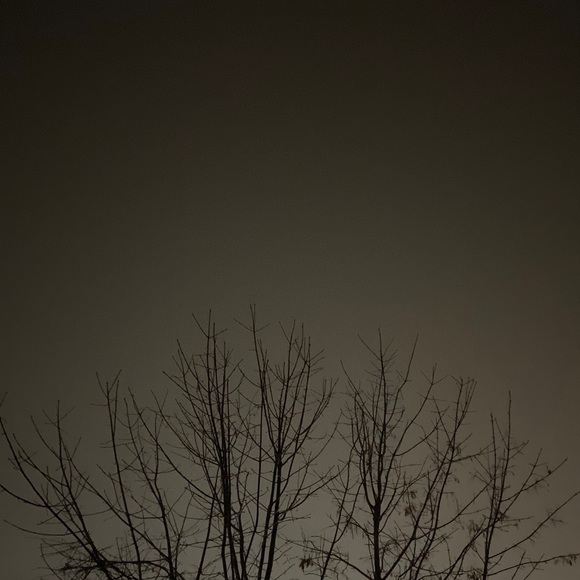 Zion Gooden - Poshmark Profile Picture of Zion Gooden (@ziondgooden) on Poshmark