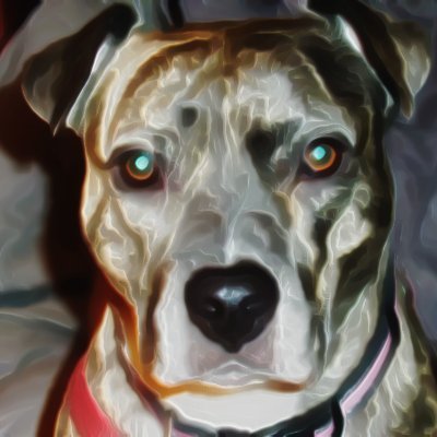 Profile Picture of Jonathan Knighton (@Jonatha53072785) on Twitter