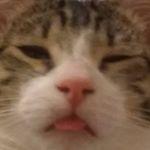 Profile Picture of kylee_benn_ (@kylee_benn) on Tiktok