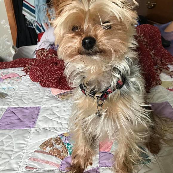 Profile Picture of Nancy Murphy (@mnancym0808) on Poshmark