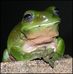 Profile Picture of Kermit Jenkins (@kermit.jenkins.1) on Facebook