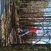 Profile Picture of Jimmy Pulley (@jimmy.pulley.18) on Facebook