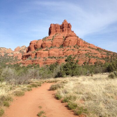 Profile Picture of LeighT (@MikeTracy6) on Twitter
