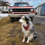 Profile Picture of Michael O'Farrell (@shmoops_adventures) on Instagram