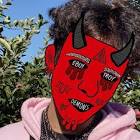 Profile Picture of   E Boy Troy (@troy.emma)... (@troy.emma) on Tiktok