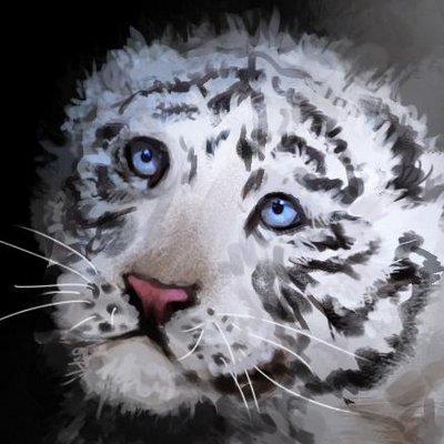 Profile Picture of Patrick Nowicki (@4shining1) on Twitter