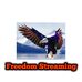 Profile Picture of Freedom Streaming (@larry.wayne.370177) on Facebook