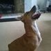 Profile Picture of Cherry Quirk (@Cherry-Quirk) on Facebook