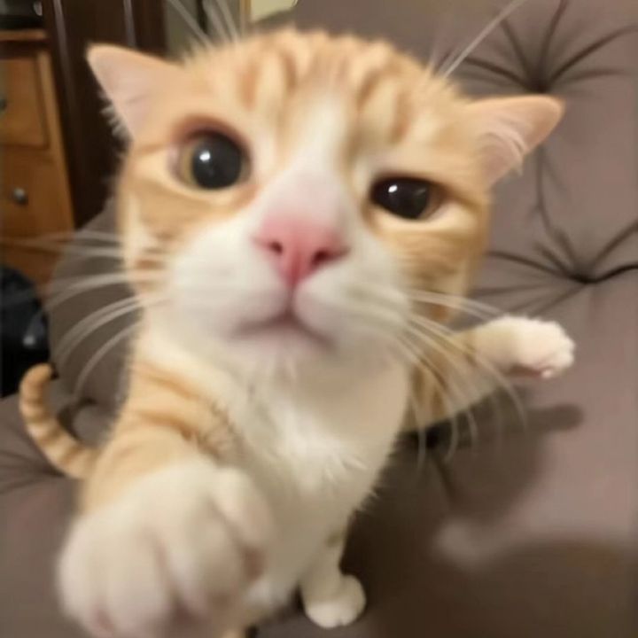 Profile Picture of Alexandra (@alexandrafh_) on Tiktok