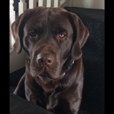 Profile Picture of Debbie Broderick (@debbieBrodders) on Twitter