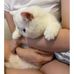 Profile Picture of Christy Lam (@christy.lam.39) on Facebook