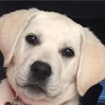 Profile Picture of Greg Lundberg (@greg.lundberg) on Instagram