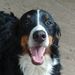 Profile Picture of Jerrylynn Hocking (@jerrylynnhocking) on Pinterest