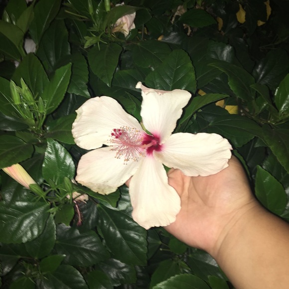 Profile Picture of Miranda Blanco (@mirandab14_) on Poshmark