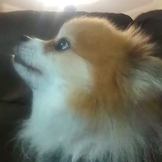 Wanda Schlemmer - Facebook Profile Picture of Wanda Schlemmer (@wanda.schlemmer) on Facebook