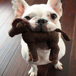 Profile Picture of jasminethewanderer (@jasminethewanderer) on Instagram