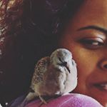 Profile Picture of Indu Gupta (@indu_gupta65) on Instagram