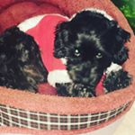 Profile Picture of David (@mc_javid) on Instagram