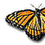 Profile Picture of Monica D. (@monie66) on Flickr