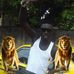 Profile Picture of Lamin George (@lamin.george.73) on Facebook