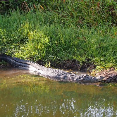 Profile Picture of Ken Hodson (@oscarbell123) on Twitter