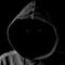 Profile Picture of Qays Lomash Culbert (@Qays-Lomash-Culbert) on Facebook