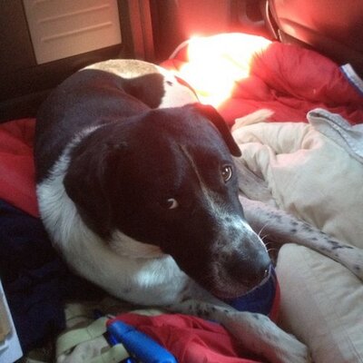 Profile Picture of Cody Nickell (@Nickell80) on Twitter
